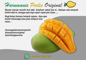 beli-harum-manis-perlis