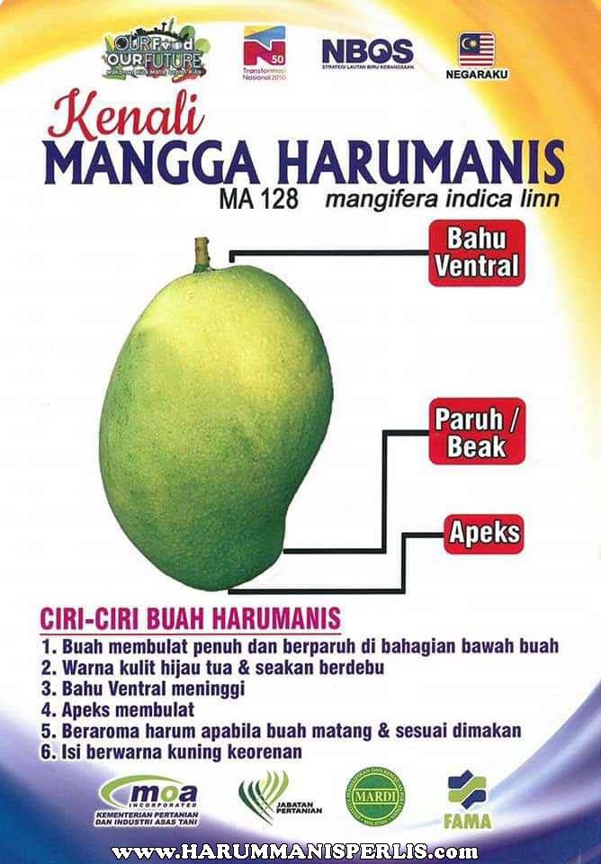 kenali-harummanis-perlis